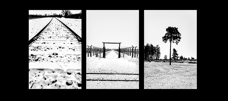 White silent hell 4